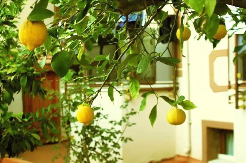 Boncuklu Otel Oludeniz Exterior foto